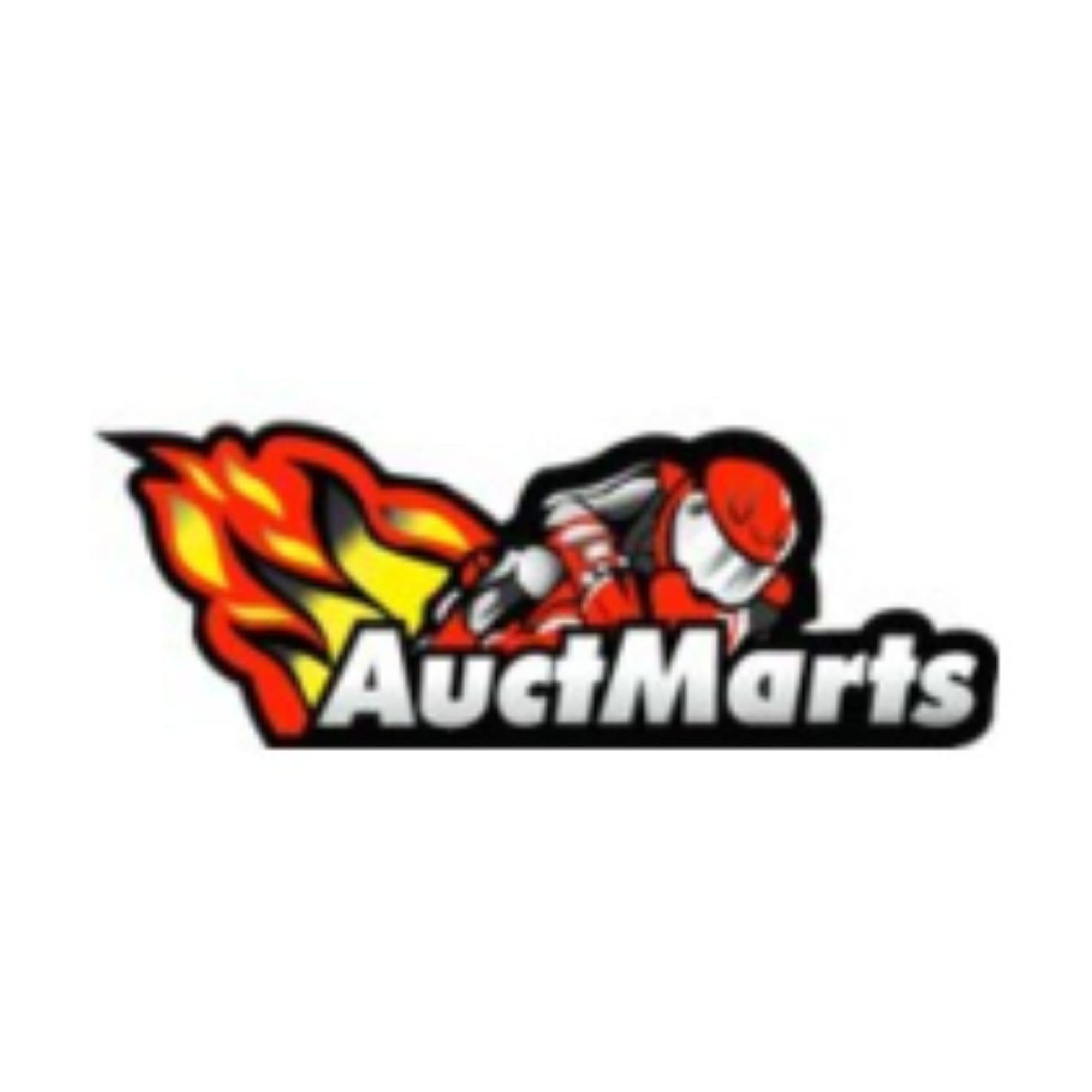 Auctmarts Fairing